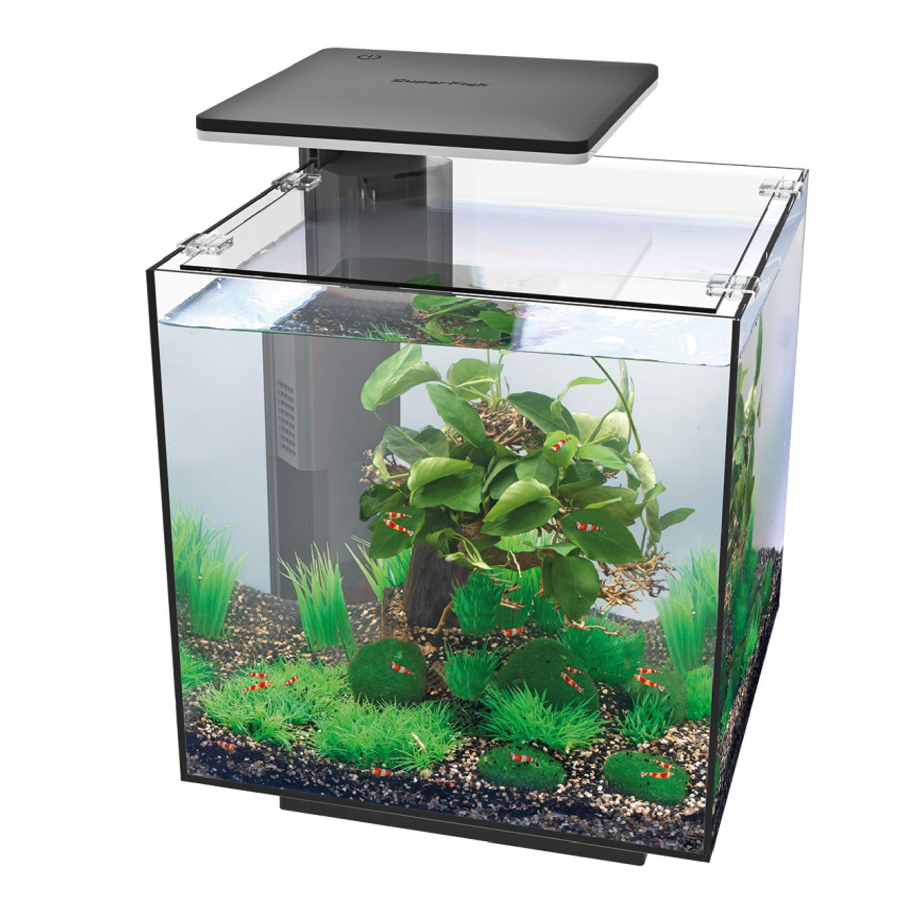 Superfish Qubiq Aquarium 30 l (Pack of 1) with LED Lighting - Black