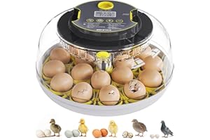 IBKINXX Incubator for Hatching Eggs-18 Egg Capacity, Automatic Egg Turner, Temperature & Humidity Control, 360° Viewing for Chicken, Duck and Quail Eggs