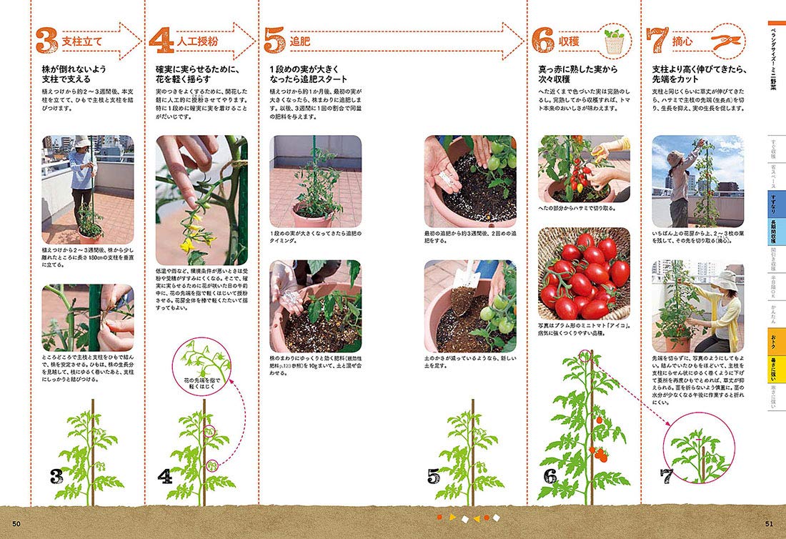 新版 だれでもできる ベランダで野菜づくり 麻生 健洲 本 通販 Amazon