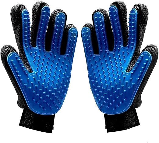 pads of dogs feet rough