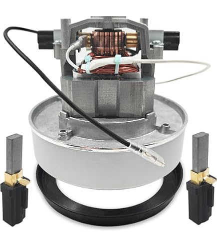 Windsor 86026880 - Vacuum Motor Assembly - Amazon.com
