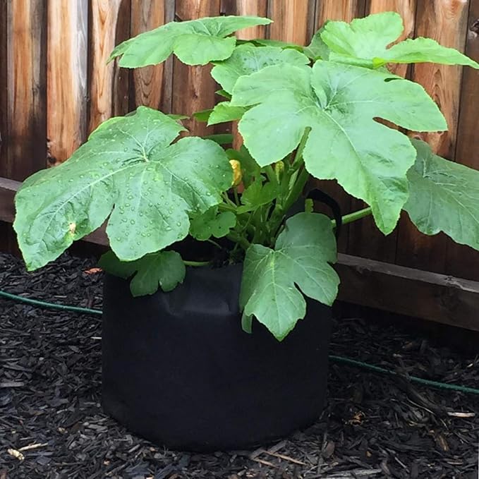 PEYOU Bolsa de Cultivo de Plantas 20L/5 Galones(5 Piezas), Saco ...