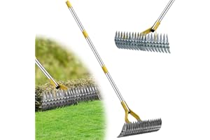 Thatch Rake for Lawn, Stainless Steel Garden Rake for Leaves,Thatch,55” Heavy Duty 19 Tines Lawn Manual Dethatcher with Adjus