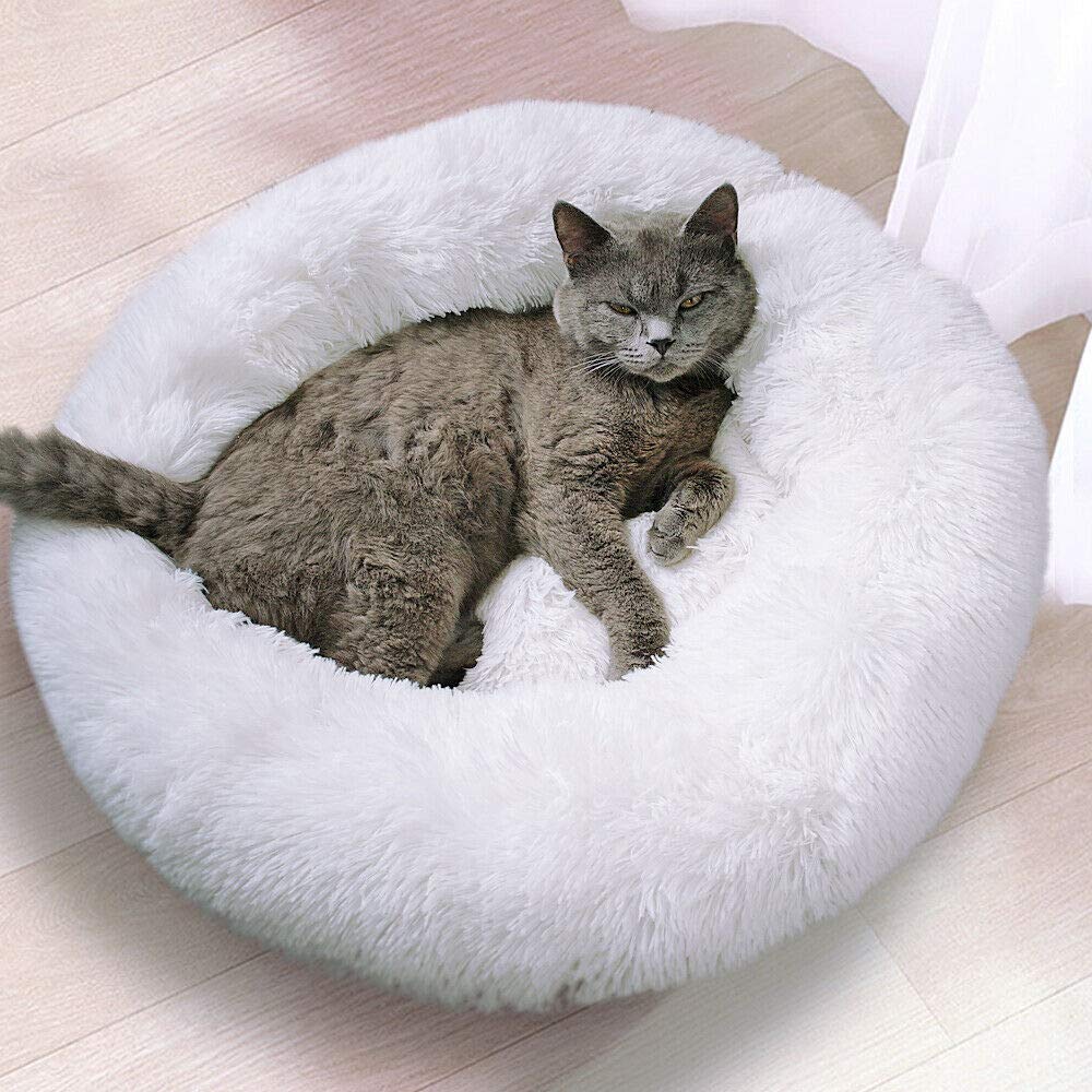 persian cat bed