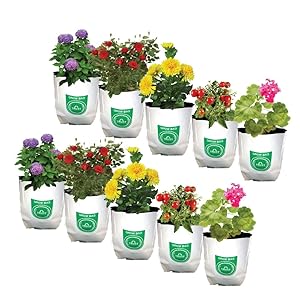 Trust Basket Large Poly Grow Bags UV Stabilized 10 Qty [24Cms(L)X24cms(W)X40cms(H)]