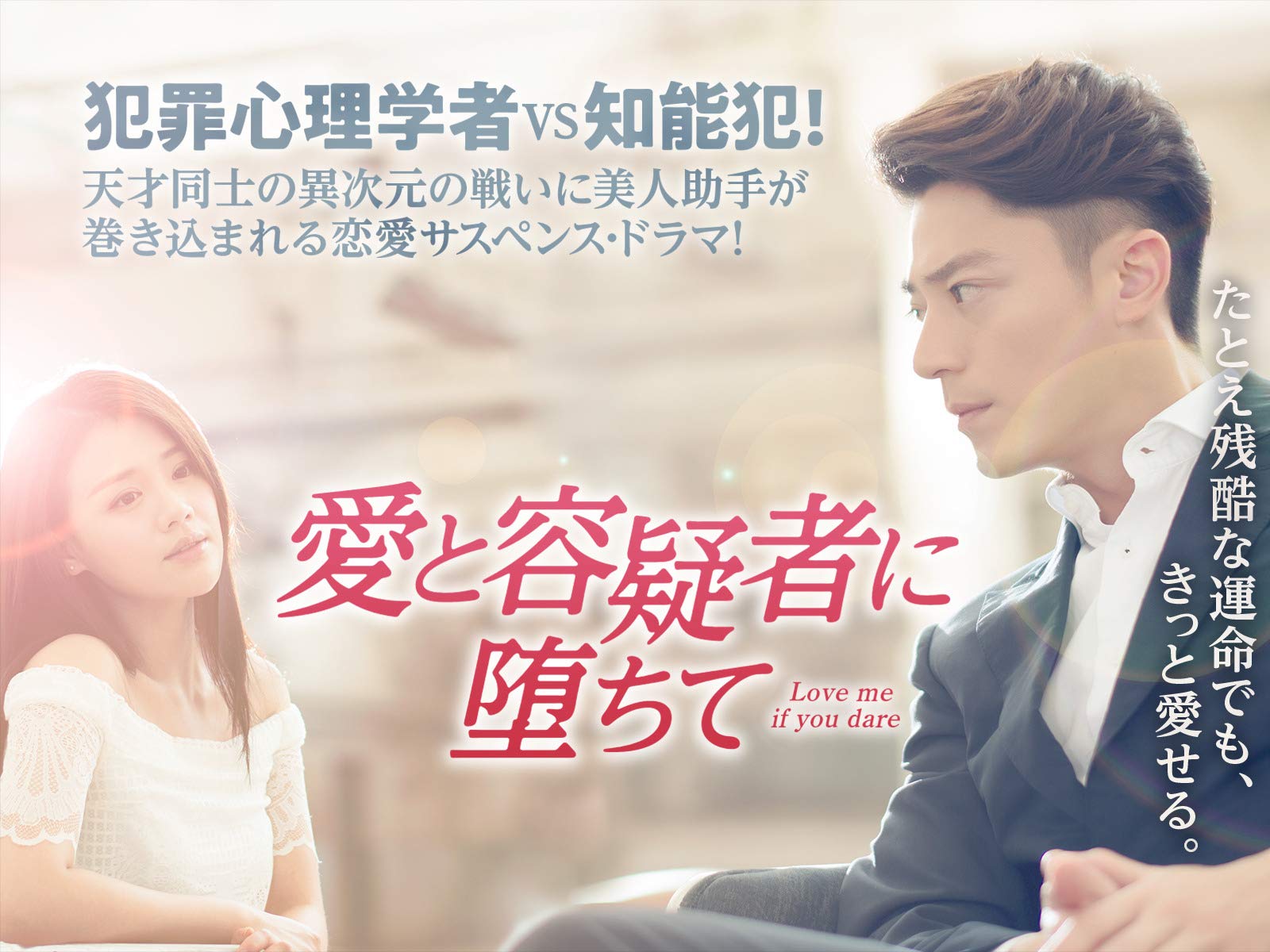 Amazon Co Jp 愛と容疑者に堕ちて 字幕版 を観る Prime Video