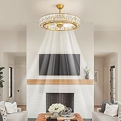 Siljoy 31.5'' Caged Ceiling Fan with Light and