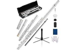 AKLOT Closed-Hole Concert C Flute: Flute Instrument with 16 Keys, Offset G, Smooth Silver-Plated Keys, Air-Tight Pads, Include Stylish Leather Hard Case, Cleaning Kit, Stand, Gloves (LUM-MV)