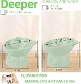 MeetoZ Ceramic Elevated Cat Bowls, 2 Wide Raised Food & Water Dishes (Green) view 2