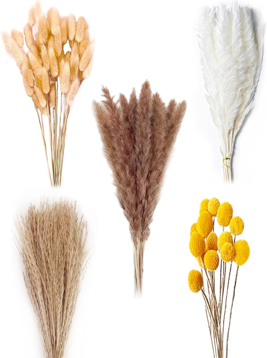 Dried & Preserved Flora - Dried Pampas Grass Decor 110PCS Fluffy 17 inches Tall Natural Plant Dried Flowers for Wedding Boho Flowers, Home Table Decor, Rustic Farmhouse Party, Vase Filler, Living Room, Bathroom