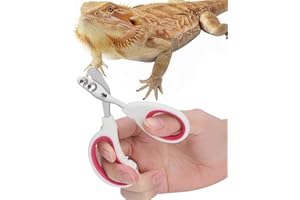 Stainless Steel Bearded Dragon Nail Clippers,Lizard Nail Clippers,Bearded Dragon Supplies,Bearded Dragon Nail Scissors for Sm