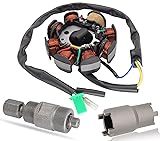 Ignition Stator Magneto AC 8 Pole 5 Wire Coil