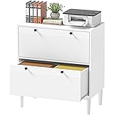 Skokliz White Lateral File Cabinet with 2 Drawers,Filing Cabinet with Adjustable Hanging Bar, Printer Stand & Home Office Sto