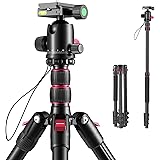 ROXTAK 80" Camera Tripod & Monopods,Professional Compact Aluminum Travel Tripods for DSLR with 360 Degree Ball Head and 2 Qui