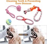 Wefine Puppy Chew Toys 100% Natural Cotton Rope for Small Medium Dogs 10 PCS view 3