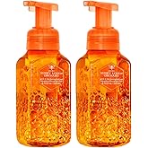 Bath and Body Works Gentle & Clean Foaming Hand Soap 8.75 Ounce 2-Pack (Sunny Lemon Orchard)