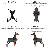Musonic No Pull Dog Harness Breathable Adjustable XS Orange with Free Leash view 6