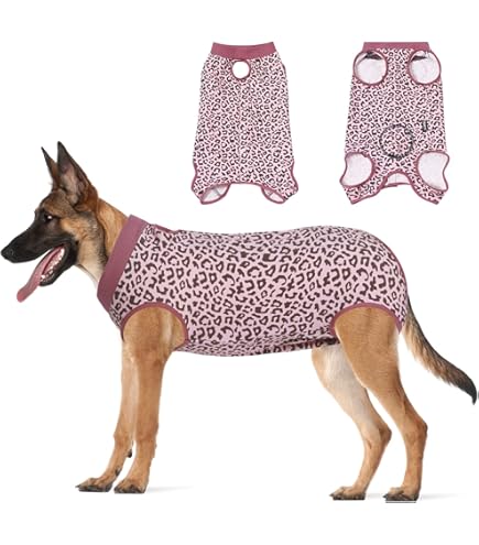 Collar Body Suit Onesie On Dog After Surgery Jiupety Dog Surgical