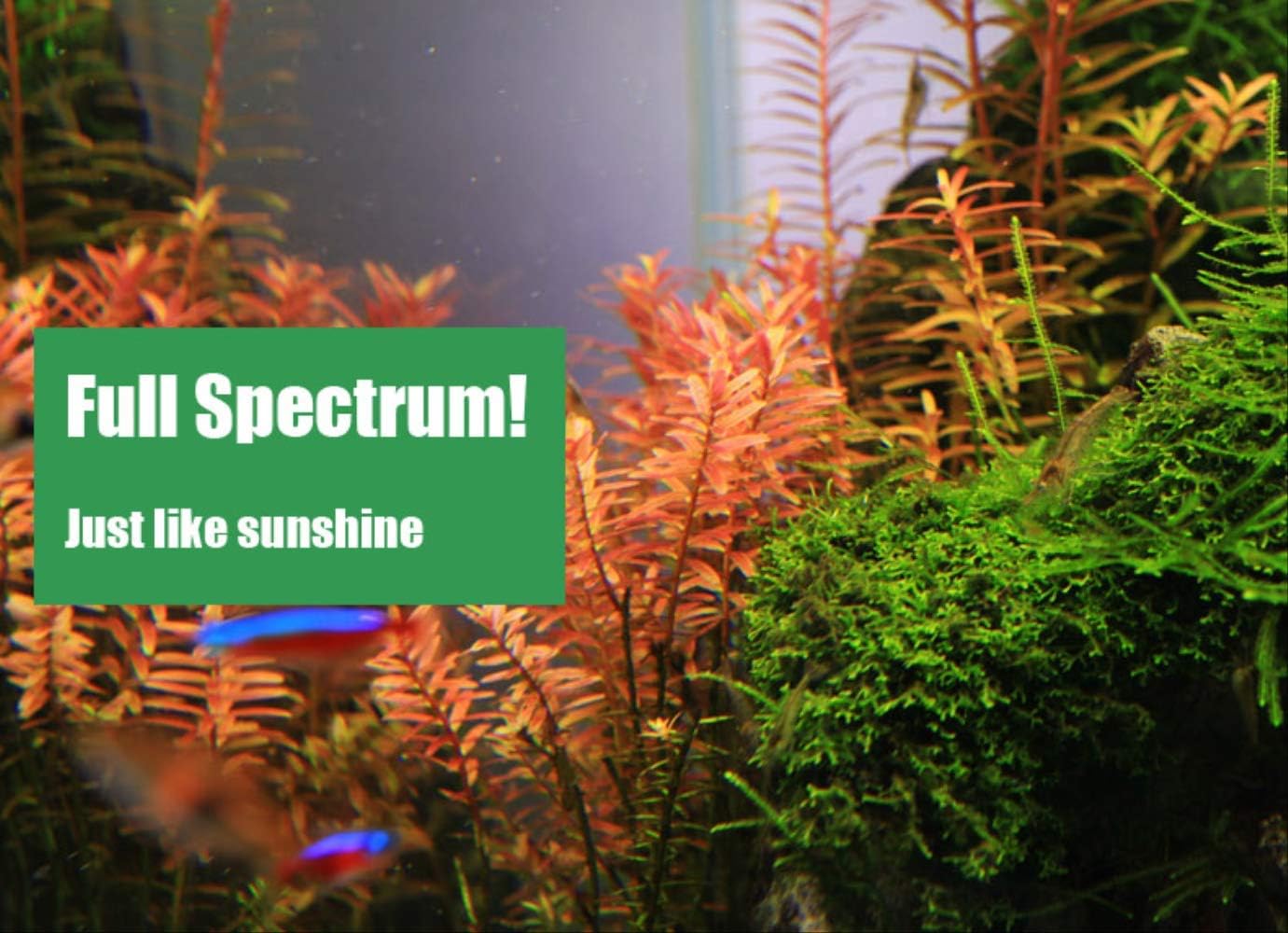 RENQINGLIN Aquarium Light Series Ada Style Plant Grow Led Light Mini Nano Clip Aquarium Water Plant Fish Tank C201
