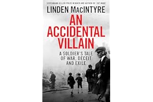 An Accidental Villain: A Soldier's Tale of War, Deceit and Exile