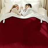 VELLUBAM Electric Blanket Queen Size 84" x 90" - Flannel Sherpa Washable Heated Blanket with Dual Control, 5 Heating Levels & 10 Hours Auto Off, Heating Blanket with Overheat Protection for Home(Red)