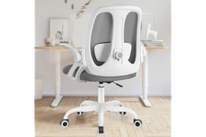 Razzor Office Chair, Ergonomic Computer Desk Chair with 2D Lumbar Support and Flip-up Arms, Swivel Breathable Mesh Task Chair with Adjustable Height for Home Office