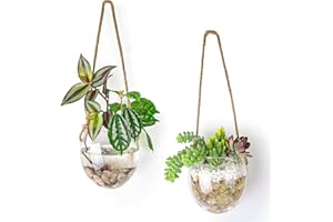 Ivolador Terrarium Container Flower Planter Hanging Glass for Hydroponic Plants Home Garden Decor (Half Bowl)