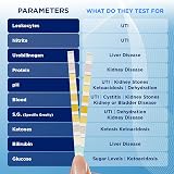 One Step 15 x 10 Parameter Urine Test Strips Dipstick Kit view 5