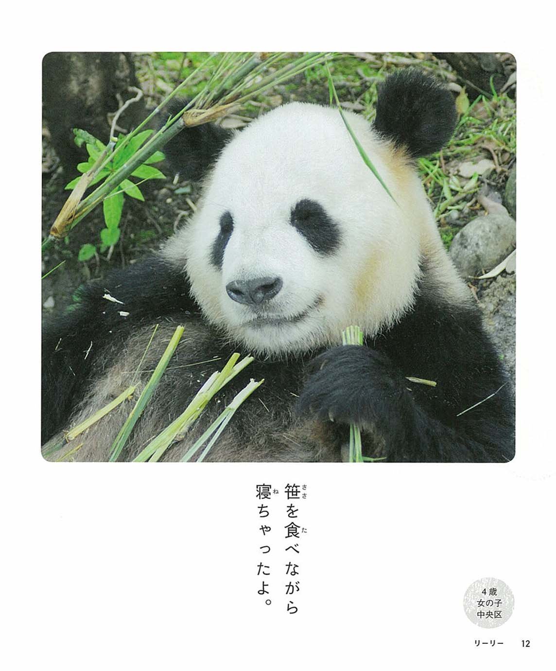 即納！最大半額！】 ひとことパンダ リーリーとシンシン At 上野動物園:【数量は多】 -Gdpcambodia.org