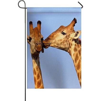 Amazon Com Dcgaring Home Decorative Double Sided Couple Giraffe