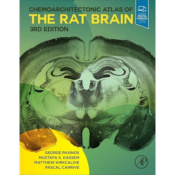 The Human Brain: Surface, Three-Dimensional Sectional Anatomy with