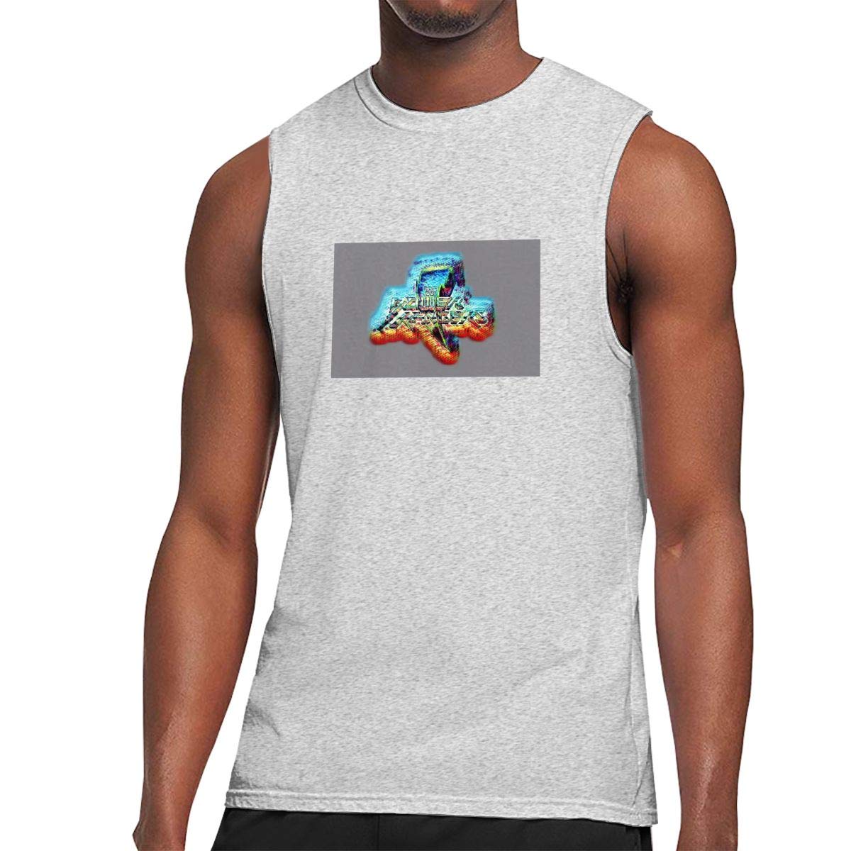 Harley Hughes Wwf Wrestling Panda Graghic Tank Tops For Sleeveless T-shirt Gray L