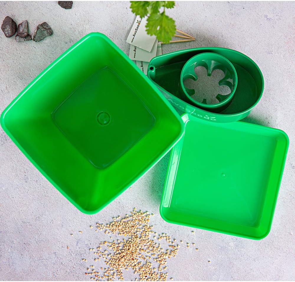 Kit Jardinage Et Idee Cadeau Homme Original Coffret Cadeaux Plante Anniversaire Homme Potager Avoseedo Faire Pousser Votre Avocatier Plantes Vertes D Interieur Et Exterieur Gadget Insolite Plantes Graines Et Bulbes Jardin Colorfulsucculents Id