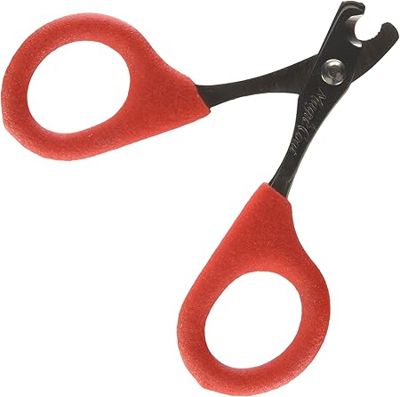 wobble wag giggle ball walmart