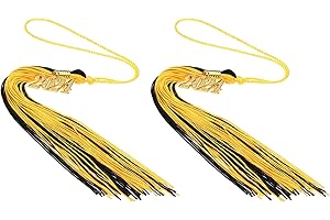 PATIKIL 2 Pcs Graduation Tassel with 2024 Gold Charm, Graduation Cap Tassel 2024 Year Graduation Tassels for Graduation Party