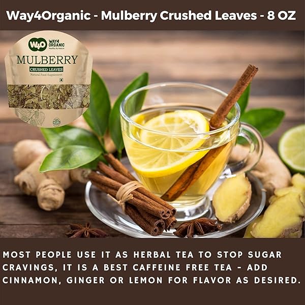 MULBERRY LEAF TEA 8 OZ, DRIED CRUSHED LEAVES, BEST CAFFEINE FREE TEA – WAY4ORGANIC (1 PACK)