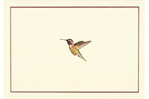 Hummingbird Flight Note Cards (14 cards, 15 self-sealing envelopes)