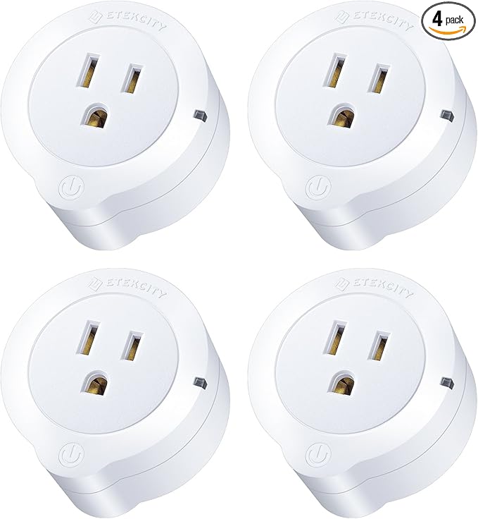 etekcity google home