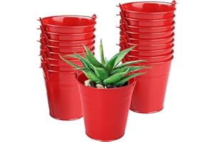 Biugaaufai 18 Pack 4 Inch Red Mini Metal Bucket, Elegant Galvanized Buckets with Handles, Tin Buckets, Small Iron Bucket, Mini Metal Pail for Party Favors, Crafts, Garden & Beach