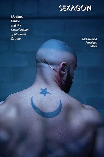 Download Sexagon: Muslims, France, and the Sexualization of National Culture PDF