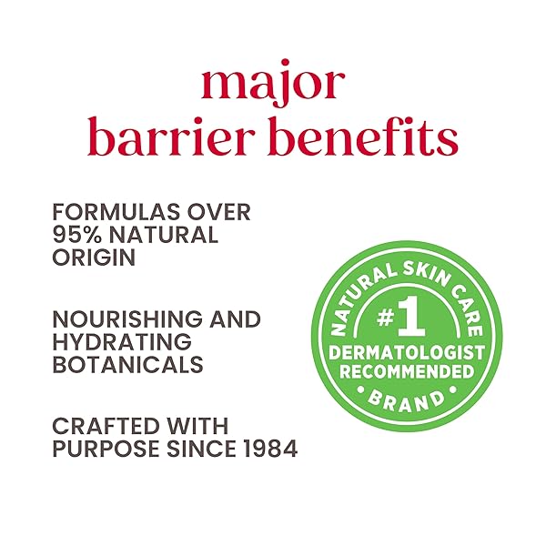 BURT’S BEES 100% NATURAL MOISTURIZING LIP BALM, MULTIPACK, 4 COUNT