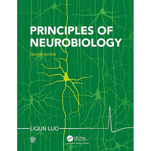 Neurobiology: A Functional Approach: 9780195396157: Medicine