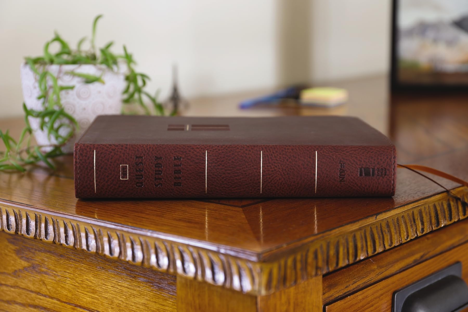 NIV, Quest Study Bible, Leathersoft, Brown, Comfort Print: The Only Q and A Study Bible