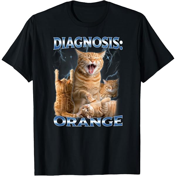Amazon.com: Orange Cat Energy | Ginger Cat T-Shirt - Unisex-Adults