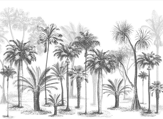 Avoir Images Papier Peint 3d Arbre De Noix De Coco De Foret Tropicale Humide actualisé par