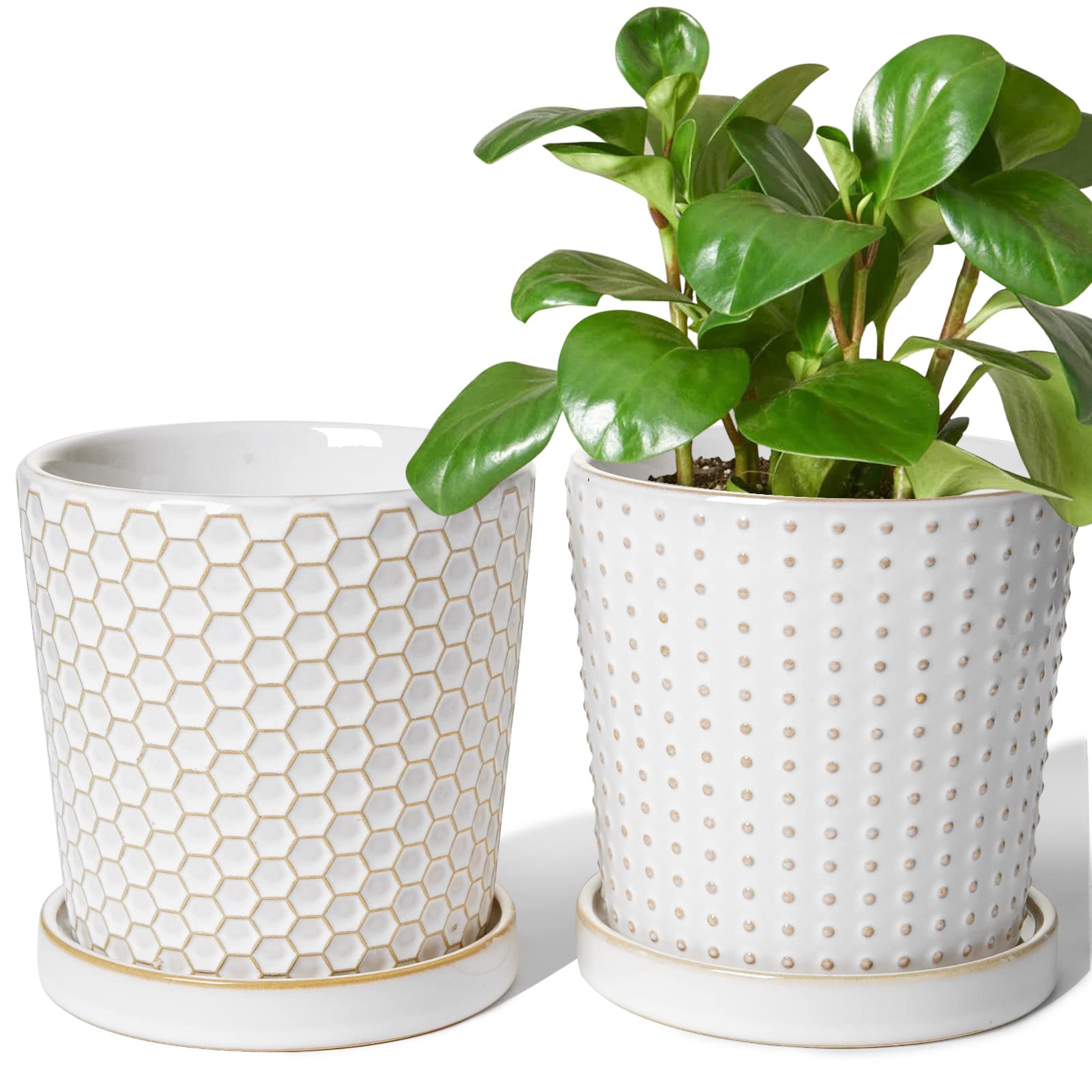 thumbnail image 2 of LE TAUCI Ceramic Plant Pots Set Of 3 – 4, 5, 6.5 Inch With Drainage & Saucer, White, For Indoor Plants & Succulents 2 of 9
