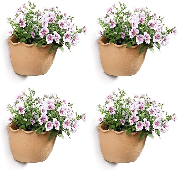 T4U Macetas Pared Plastico Cestas Colgantes - Albaricoque Paquete de 4