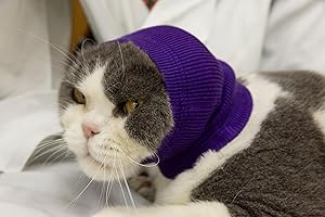 FDANDADE Cat Hematoma Ear Wrap, Cat Ear Wrap Cats Anxiety Relief – Noise Canceling for Fireworks, Thunderstorms Purple S