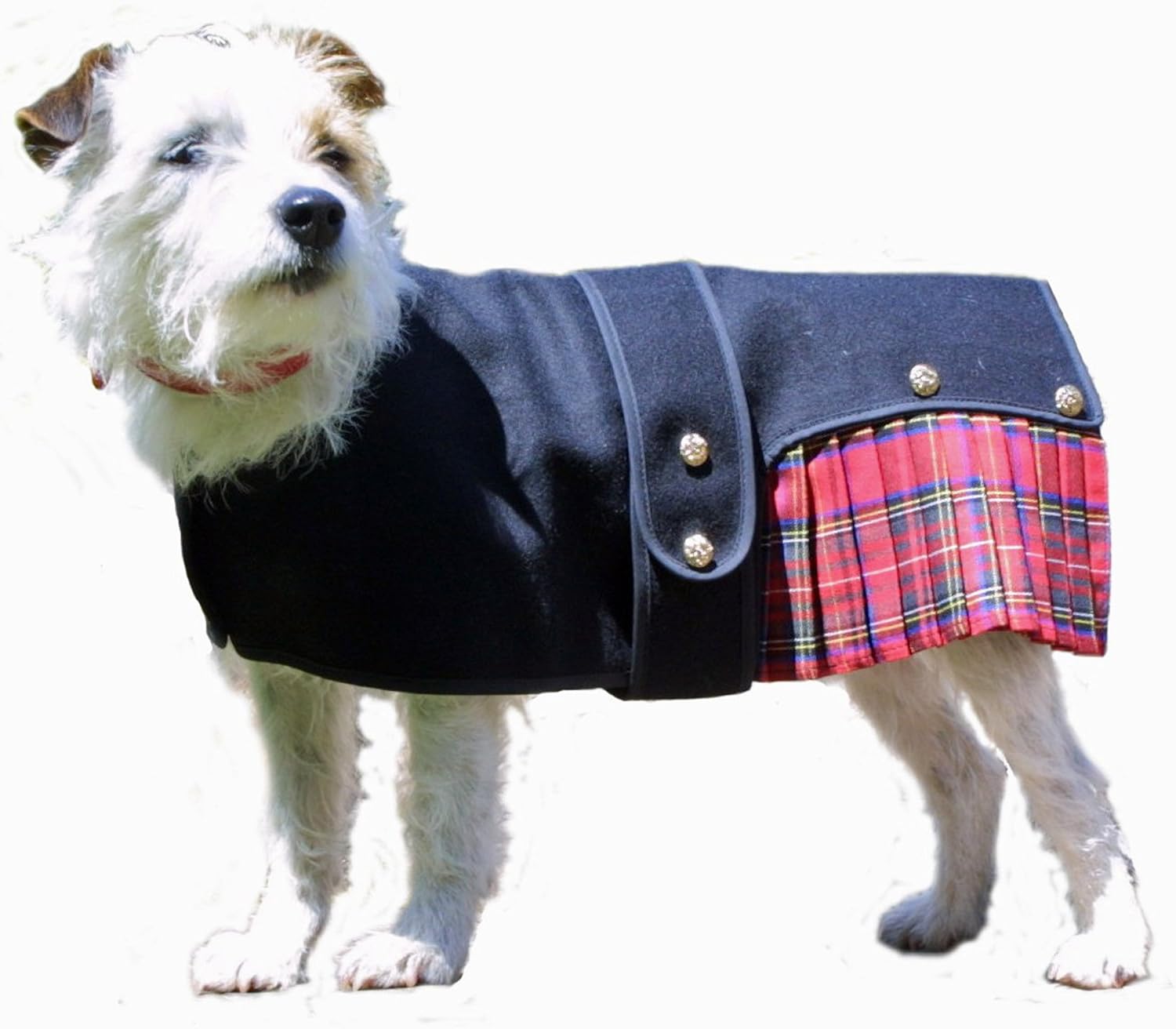 kilts for dogs