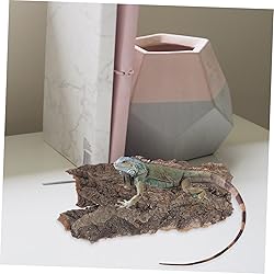 MARMERDO 4pcs Reptile Bark Decoration Reptile